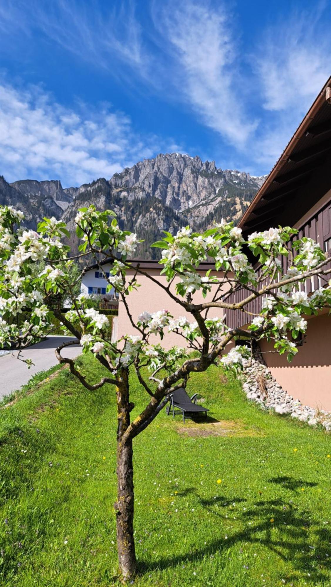Baers Mountain Stay Ausserbraz Innerbraz Eksteriør billede