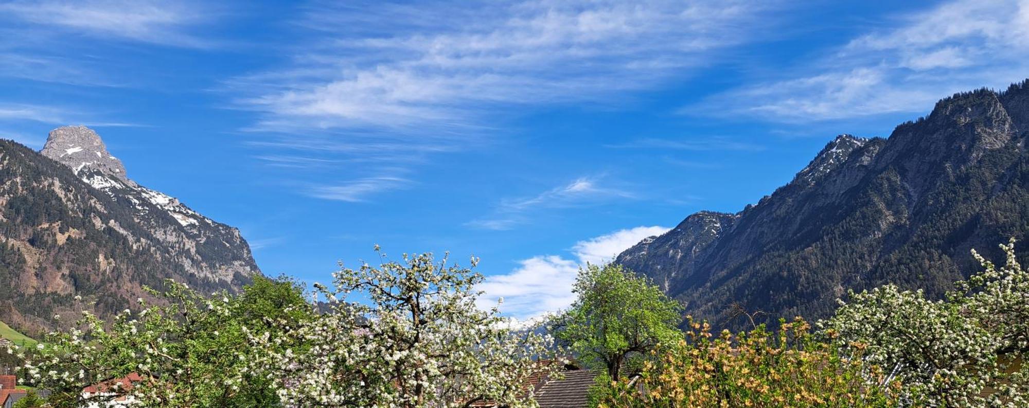 Baers Mountain Stay Ausserbraz Innerbraz Eksteriør billede