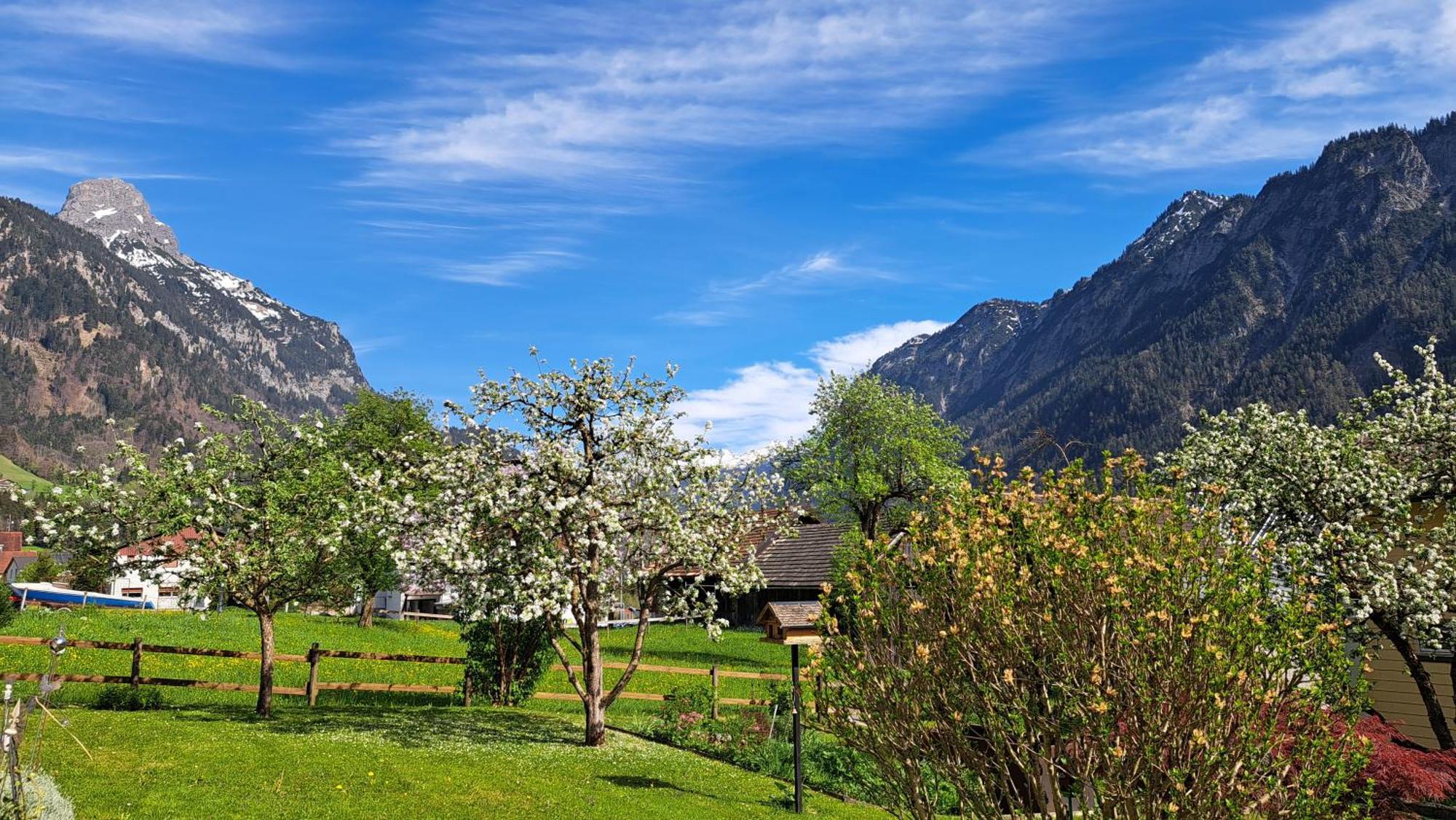 Baers Mountain Stay Ausserbraz Innerbraz Eksteriør billede