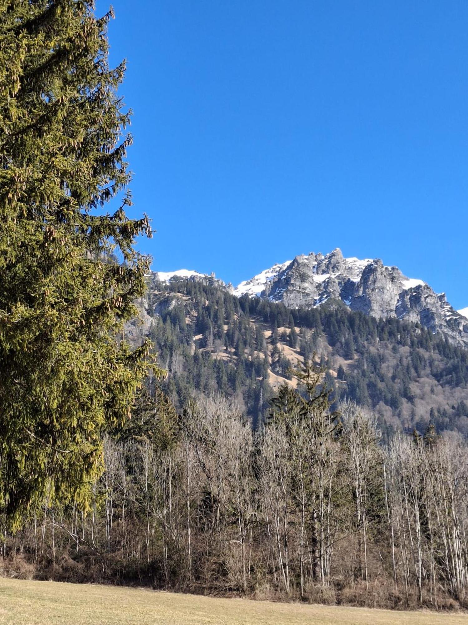 Baers Mountain Stay Ausserbraz Innerbraz Eksteriør billede