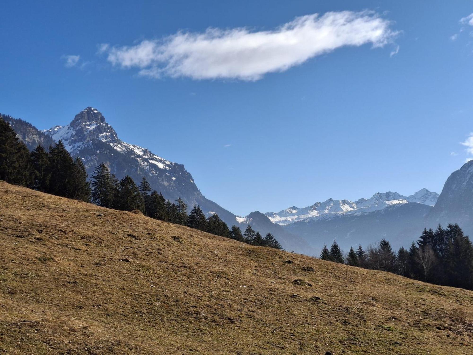 Baers Mountain Stay Ausserbraz Innerbraz Eksteriør billede